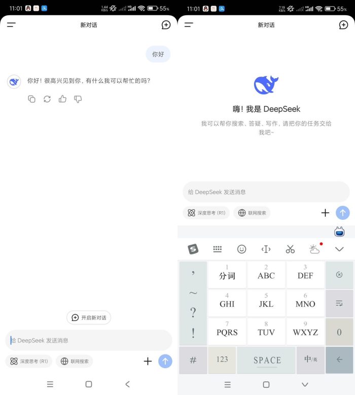 Deepeeek前瞻版-最新更新解决已知bug